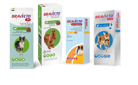 Productos familia Bravecto